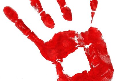 Campagna di prevenzione A.I.P.C. 2024/25 “OGNI GIORNO TUTTI CONTRO LA VIOLENZA!”