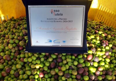 Premio Eccellenze Europee 2024 “Olio Guglietta”