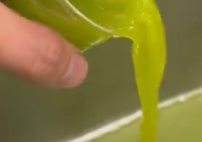 Succo di Vita”: l’olio extravergine d’oliva che punta al titolo di Eccellenza Europea 2026